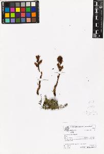 SW_BNB_s3070-06966_IMG-0000000001
