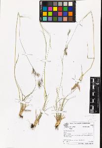 SW_BNB_s3070-06967_IMG-0000000001
