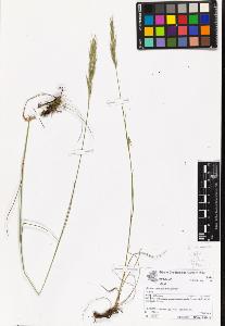 SW_BNB_s3070-06969_IMG-0000000001