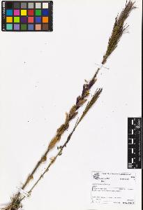 SW_BNB_s3070-06971_IMG-0000000001