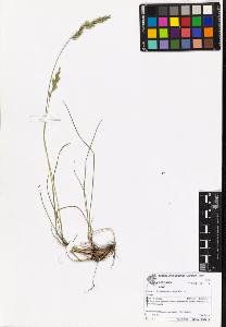 SW_BNB_s3070-06974_IMG-0000000001
