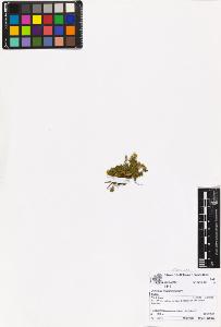 SW_BNB_s3070-06978_IMG-0000000001