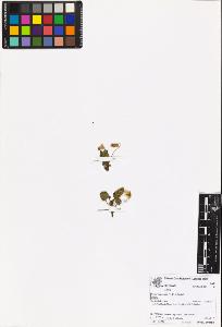SW_BNB_s3070-06979_IMG-0000000001