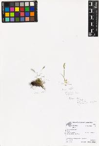 SW_BNB_s3070-06983_IMG-0000000001