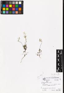 SW_BNB_s3070-06987_IMG-0000000001