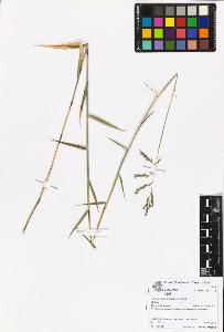 SW_BNB_s3070-06988_IMG-0000000001