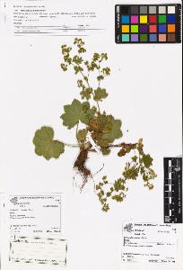 SW_BNB_s3070-06998_IMG-0000000001