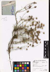 SW_BNB_s3070-07004_IMG-0000000001