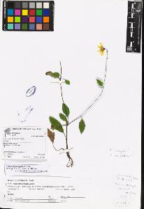 SW_BNB_s3070-07005_IMG-0000000001