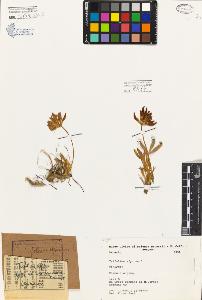 SW_BNB_s3080-00003_IMG-0000000001