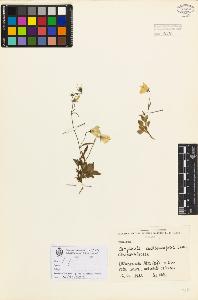 SW_BNB_s3080-00016_IMG-0000000001