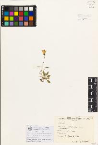 SW_BNB_s3080-00017_IMG-0000000001