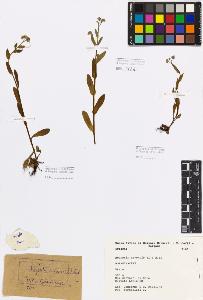 SW_BNB_s3080-00019_IMG-0000000001