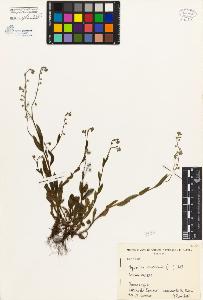 SW_BNB_s3080-00020_IMG-0000000001