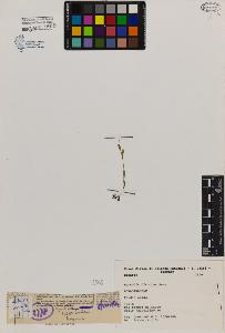 SW_BNB_s3080-00023_IMG-0000000001