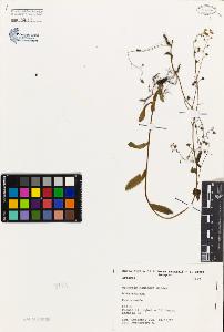 SW_BNB_s3080-00030_IMG-0000000001