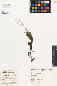 SW_BNB_s3080-00033_IMG-0000000001