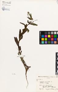 SW_BNB_s3080-00034_IMG-0000000001