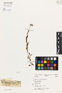 SW_BNB_s3080-00036_IMG-0000000001