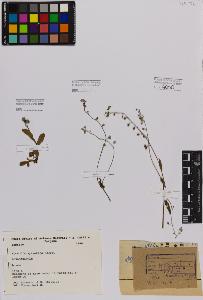 SW_BNB_s3080-00048_IMG-0000000001