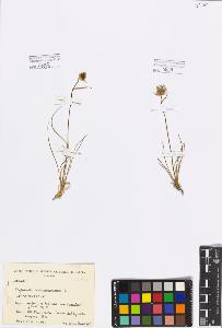 SW_BNB_s3080-00052_IMG-0000000001