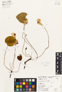 SW_BNB_s3080-00067_IMG-0000000001