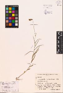 SW_BNB_s3080-00081_IMG-0000000001