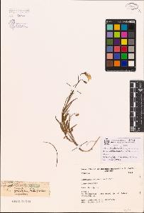 SW_BNB_s3080-00085_IMG-0000000001