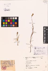 SW_BNB_s3080-00086_IMG-0000000001