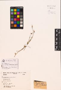 SW_BNB_s3080-00090_IMG-0000000001