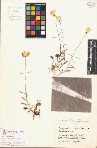 SW_BNB_s3080-00093_IMG-0000000001