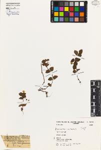 SW_BNB_s3080-00115_IMG-0000000001
