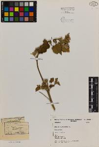 SW_BNB_s3080-00117_IMG-0000000001
