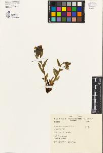 SW_BNB_s3080-00123_IMG-0000000001