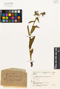 SW_BNB_s3080-00129_IMG-0000000001