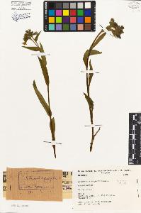 SW_BNB_s3080-00130_IMG-0000000001