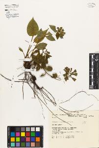 SW_BNB_s3080-00134_IMG-0000000001
