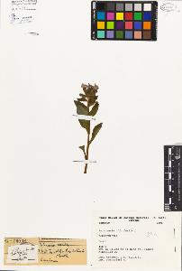 SW_BNB_s3080-00136_IMG-0000000001