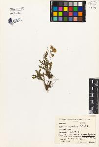 SW_BNB_s3080-00139_IMG-0000000001