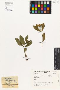 SW_BNB_s3080-00149_IMG-0000000001