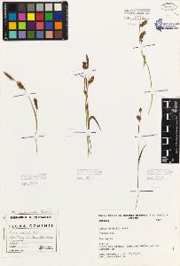 SW_BNB_s3080-00163_IMG-0000000001
