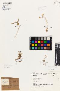 SW_BNB_s3080-00178_IMG-0000000001