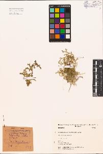 SW_BNB_s3080-00182_IMG-0000000001