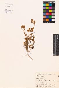 SW_BNB_s3080-00184_IMG-0000000001
