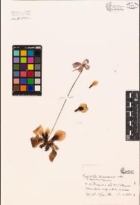 SW_BNB_s3080-00185_IMG-0000000001