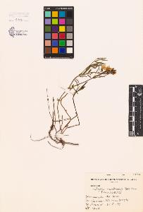 SW_BNB_s3080-00186_IMG-0000000001