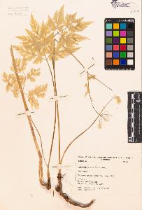 SW_BNB_s3080-00187_IMG-0000000001