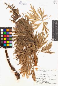 SW_BNB_s3080-00188_IMG-0000000001