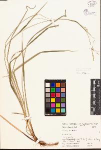 SW_BNB_s3080-00197_IMG-0000000001