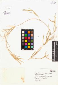 SW_BNB_s3080-00198_IMG-0000000001